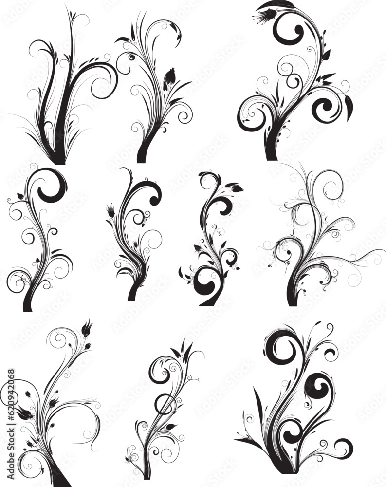 black and white floral vector illustration black and white floral vector illustration