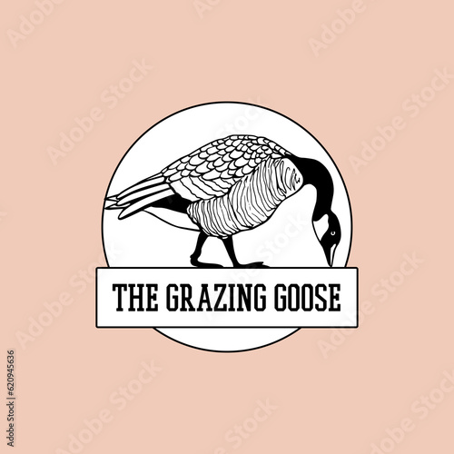 Vector emblem with hand drawn grazing wild goose. Round layout, ink drawing. Beautiful animal design elements, logo template. 