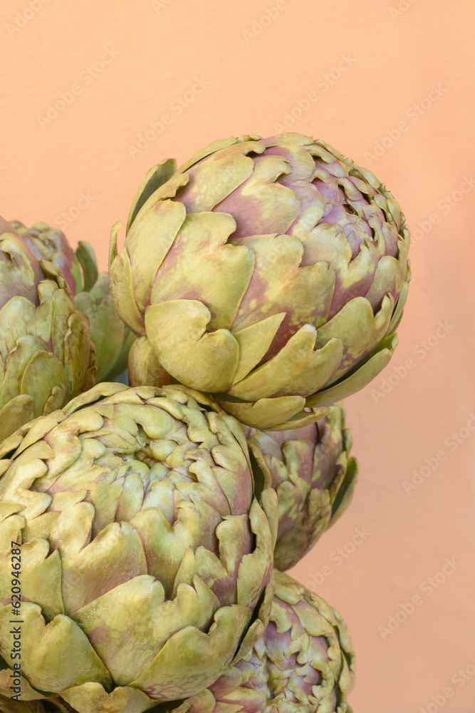 Fototapeta premium A bud of a green artichoke on a beige background