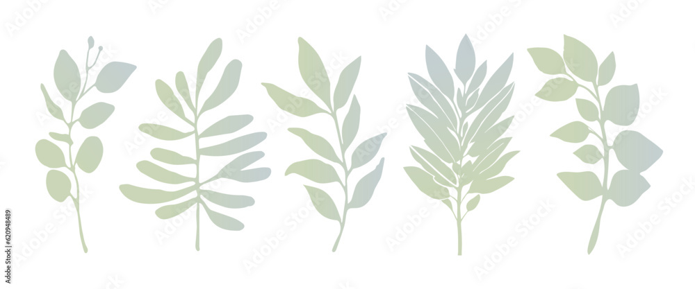 Set of leaves silhouette of beautiful plants, leaves, plant design 24. Vector illustration