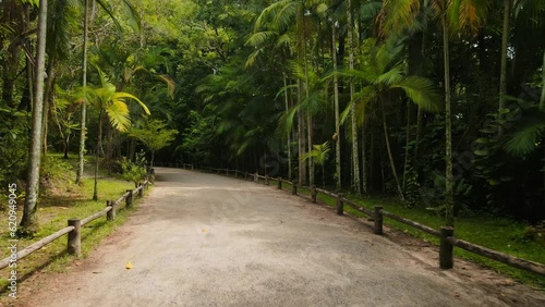 Path with tropical trees in Corrego Grande Municipal Park, Florianopolis photo