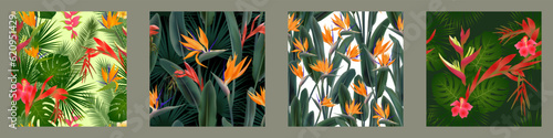 Strelitzia blossom, hibiscus tropical flowers, palm leaves, monstera seamless vector pattern set.
