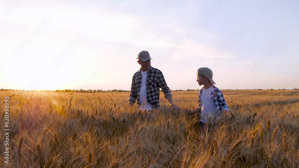 A family of farmers, a man and a kid go through a wheat field. Father and son are agronomists. Family business. Grain harvesting. A family of farmers, a man and a kid go through a wheat field. Father and son are agronomists. Family business. Grain harvesting.