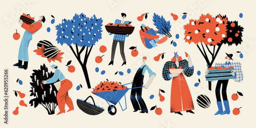 Harvest time. People with baskets, boxes, a wheelbarrow collect fruits and berries in the garden