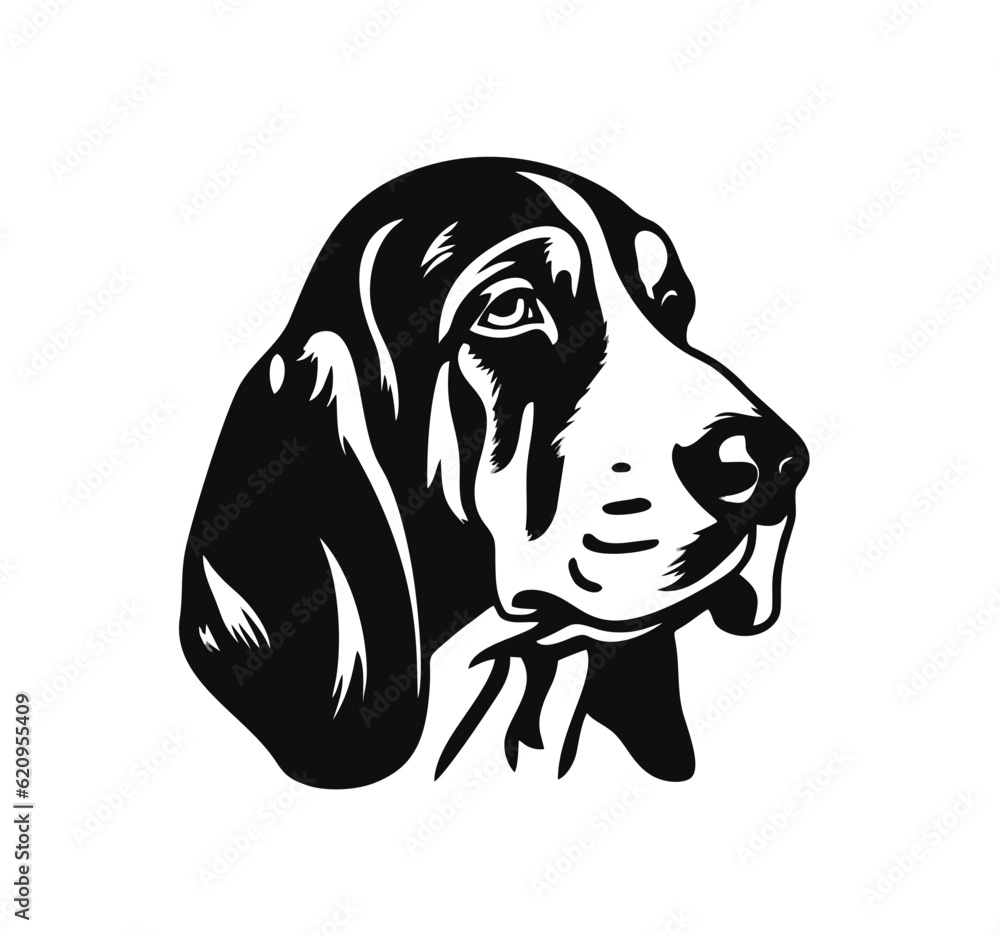 Vector isolated one single sitting Basset Hound dog head front view ...