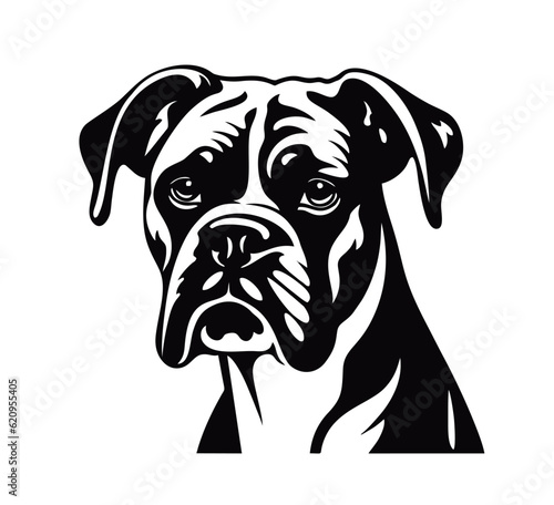 Vector isolated one single sitting Boxer dog head front view black and white bw two colors silhouette. Template for laser engraving or stencil, print for t shirt	