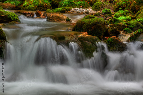 Mountain stream in autumn mood. Beautiful autumn nature. 