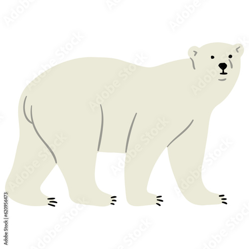 Polar Bear Single 30  vector illustration