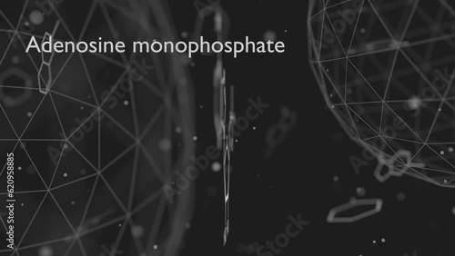 Adenosine monophosphate or AMP, adenylic acid molecule. Nucleotide monomer of RNA. Composed of phosphate, ribose and adenine moieties. Skeletal formula.