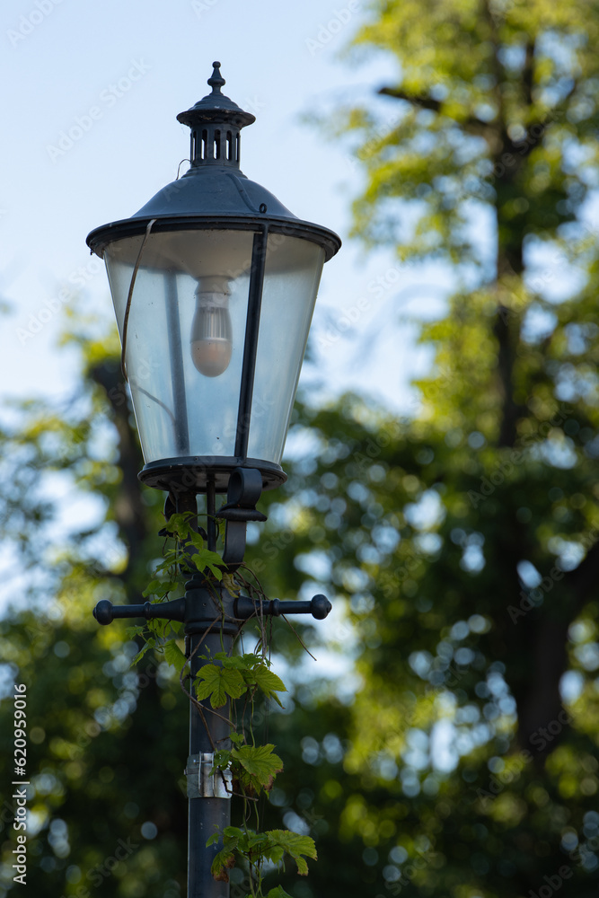 zgaszona lampa w parku miejskim