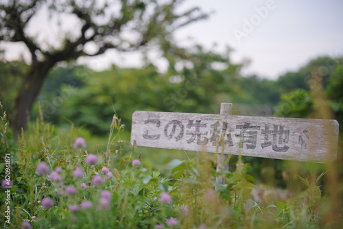 草の中から見える私有地の立看板 photo