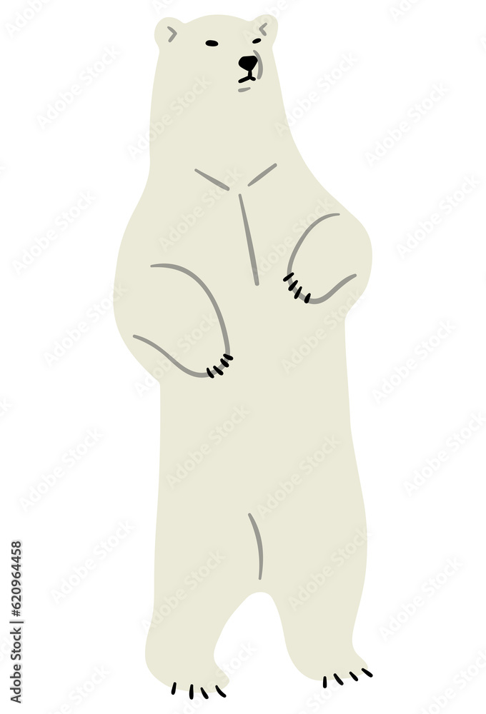 Polar Bear Single 13 PNG Polar Bear Single 13 PNG
