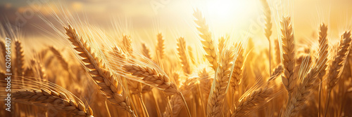 Fotografia Wheat field poster with copy space - Generative AI