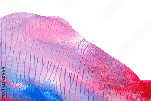 blue pink abstract acrylic painting color texture on white paper background by using rorschach inkblot method