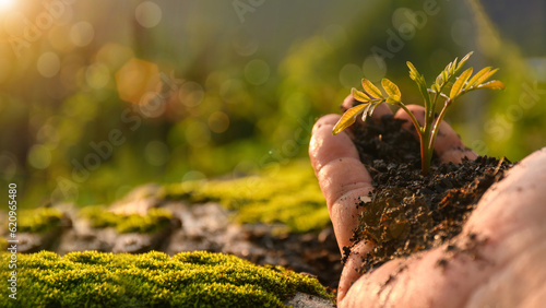 World environment day concept. Hand planting trees with environmental . Global warming. Sustainable development. solar power and green business, renewable energy, sustainability in the future, ESG
