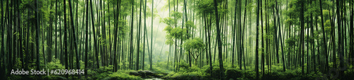 Bamboo Forest Scene. Generative AI.
A beautiful scene of a restful bamboo forest in Asia.