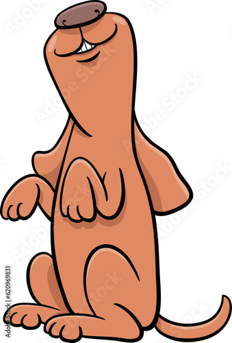 happy cartoon dog comic animal character begging