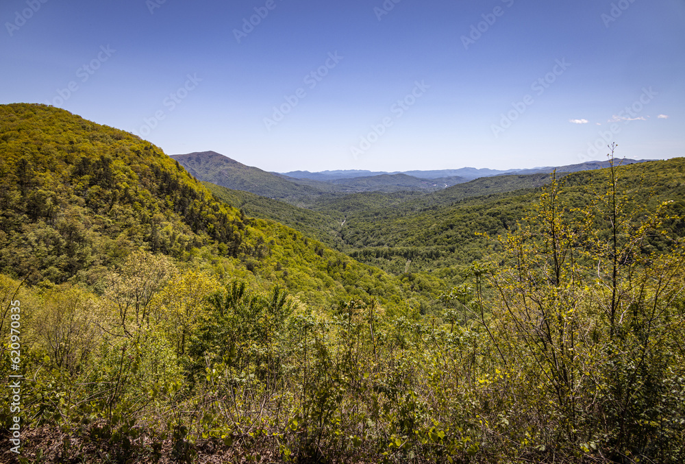 View over North Cove, Pisgah National Forest, Blue Ridge Mountains, North Carolina, USA