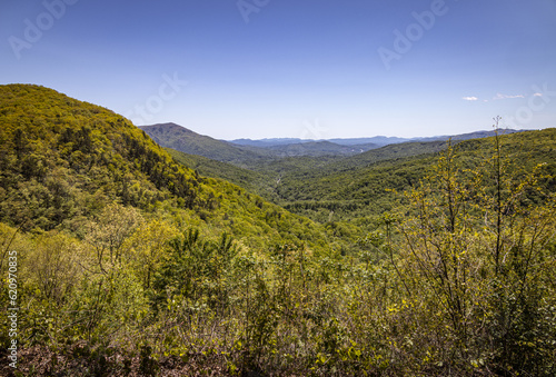 View over North Cove  Pisgah National Forest  Blue Ridge Mountains  North Carolina  USA