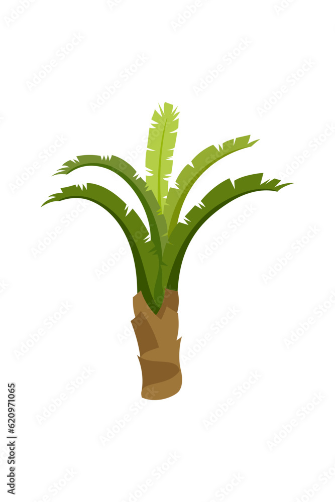 Palm trees are isolated on white background. Beautiful palm tree illustration. Coconut tree illustrations