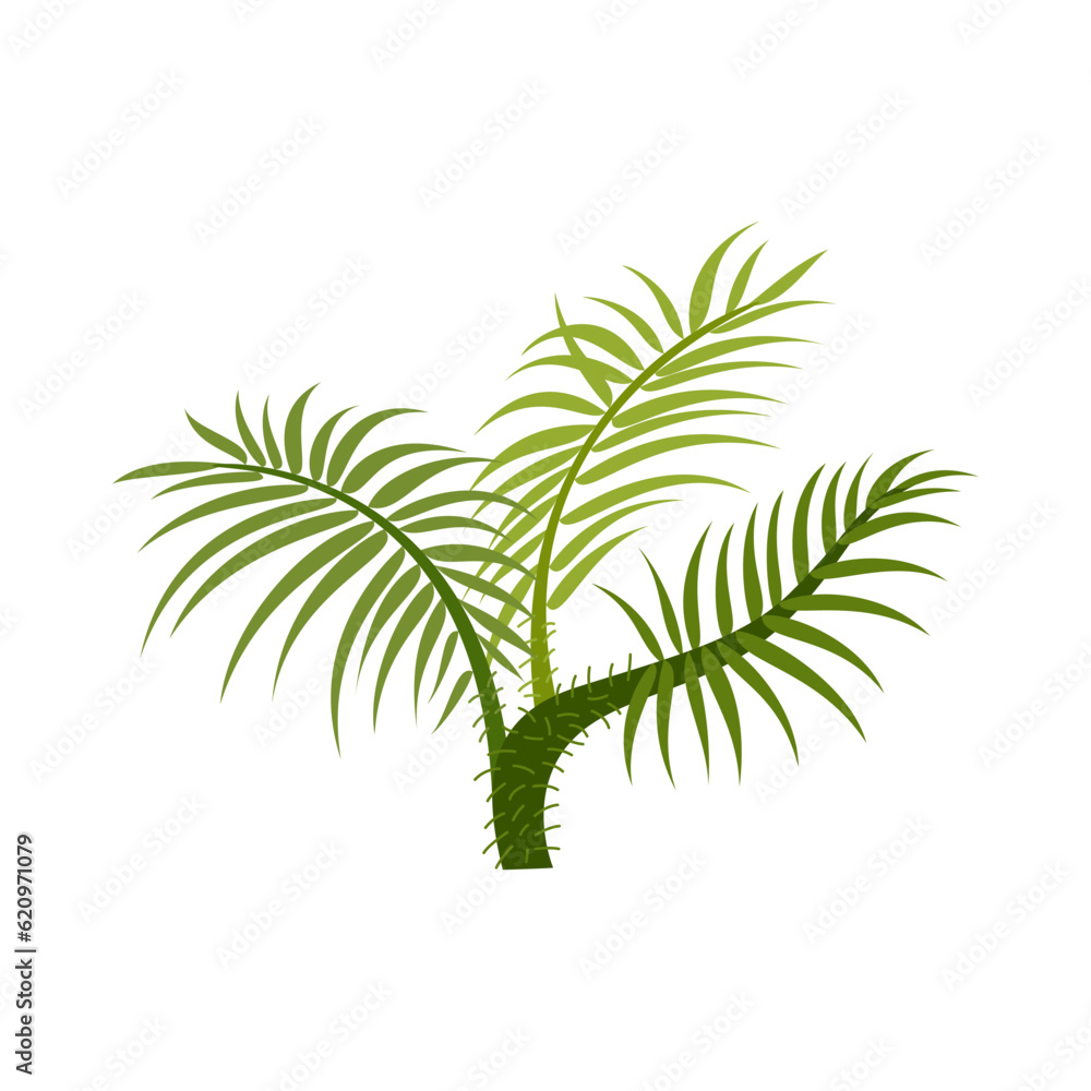 Palm trees are isolated on white background. Beautiful palm tree illustration. Coconut tree illustrations