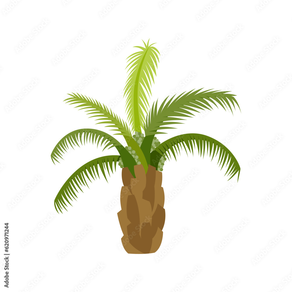 Palm trees are isolated on white background. Beautiful palm tree illustration. Coconut tree illustrations