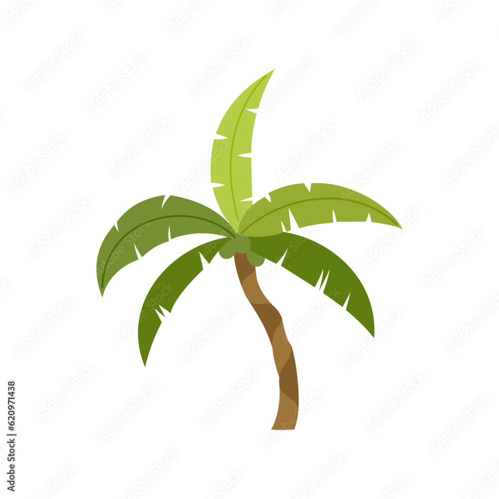 Palm trees are isolated on white background. Beautiful palm tree illustration. Coconut tree illustrations