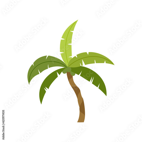 Palm trees are isolated on white background. Beautiful palm tree illustration. Coconut tree illustrations