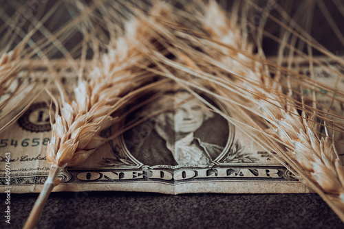 US dollar banknote and grains of wheat. Stylized photo. Agricultural concept. Import and export of wheat dollar in the world.