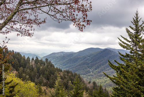 View from Newfound Gap, Great Smoky Mountains National Park, North Carolina, USA photo