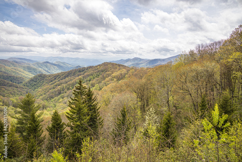 Great Smoky Mountains National Park, North Carolina, USA