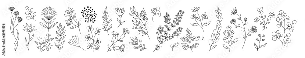 Set of tiny wild flowers and plants line art vector botanical illustrations. Trendy greenery hand drawn black ink sketches collection. Modern design for logo, tattoo, wall art, branding and packaging. - obrazy, fototapety, plakaty 