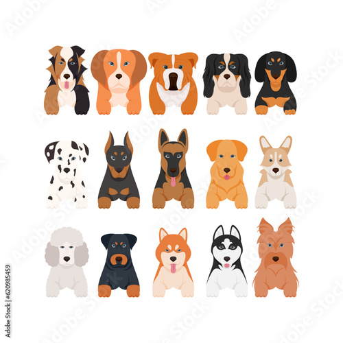 Cartoon puppy dogs breeds pets cute characters. Flat design of cute dogs and puppies vector illustration.