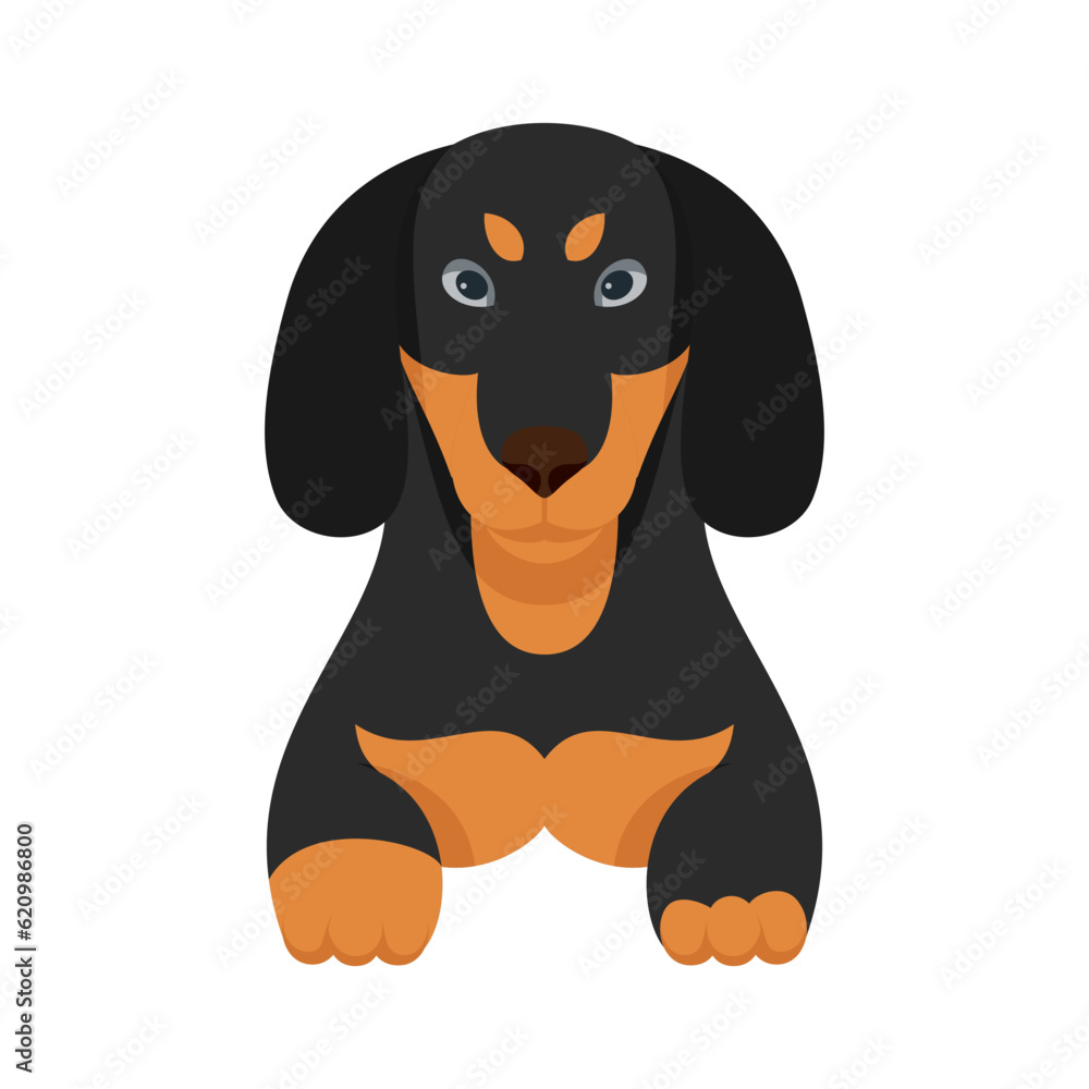 Fototapeta premium Cartoon puppy dogs breeds pets cute characters. Flat design of cute dogs and puppies vector illustration.