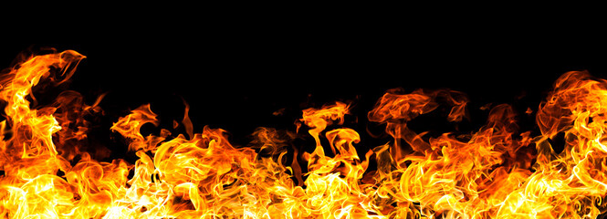 The  biggest fire flames of realistic burning on black background. For art work design, banner or backdrop.