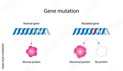 Genetic mutation. Normal and mutated genes. Gene mutation that produce abnormal protein or no protein. scientific design. Vector illustration.