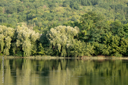 summer landscape on the Dniester river