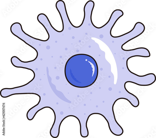medical diagram macrophage