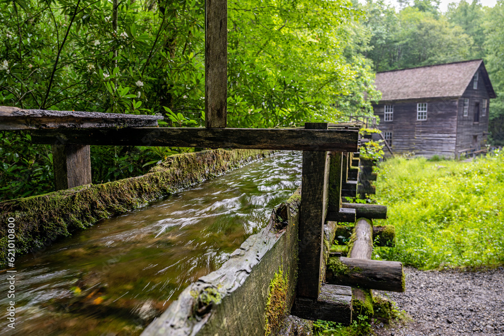 Fototapeta premium mingus mill