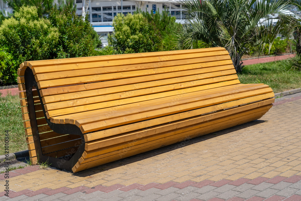 Empty curved yellow wooden bench on a pedestrian paved path in seaside park with palm trees and decorative trees Empty curved yellow wooden bench on a pedestrian paved path in seaside park with palm trees and decorative trees