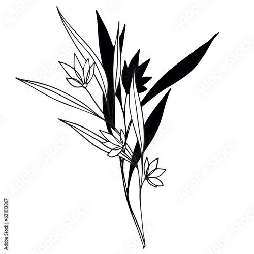 Vector botanical illustration  twig with leaves and flowers  outline and silhouette. Garden  field  meadow wild plants collected in bouquet collection. Vector illustration isolated on background.