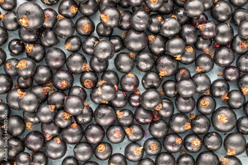 Several sweet blackcurrant berries  macro  top view.