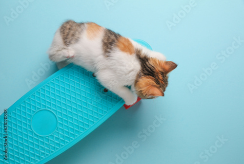 Little cute kitten rides on a penny board, blue background. Top view © splitov27