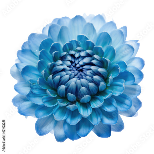 abstract blue flower isolated on transparent background cutout