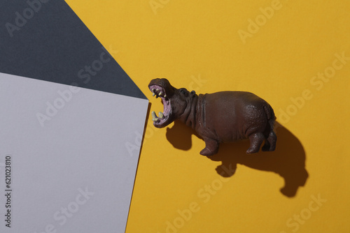 Toy hypopotamus on colored background photo