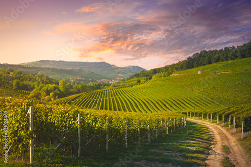 Langhe vineyards view, rural road, Barolo and La Morra in the background, Piedmont, Italy © stevanzz