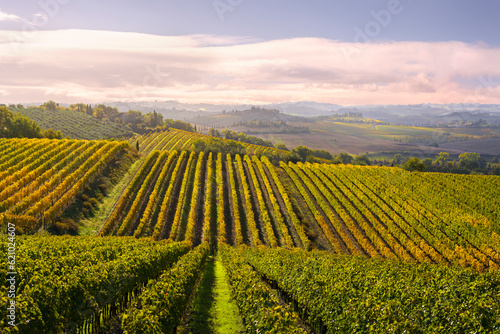 Vineyards landscape in Castellina in Chianti  Tuscany  Italy