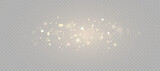 Light effect with lots of glittery highlights, bokeh effect shining on transparent background for christmas new year design. And illustrations. Vector