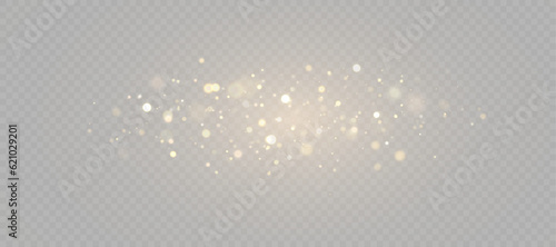 Light effect with lots of glittery highlights, bokeh effect shining on transparent background for christmas new year design. And illustrations. Vector