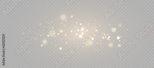 Light effect with lots of glittery highlights, bokeh effect shining on transparent background for christmas new year design. And illustrations. Vector